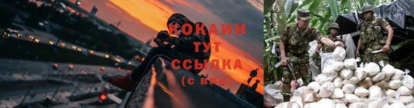 крисы Костерёво