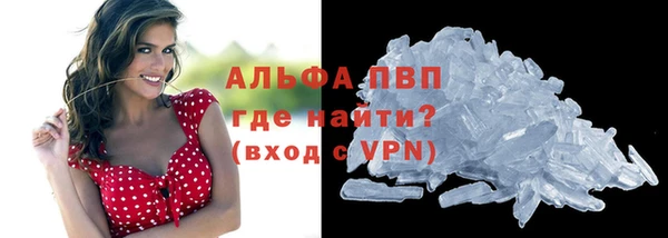 амф Белокуриха