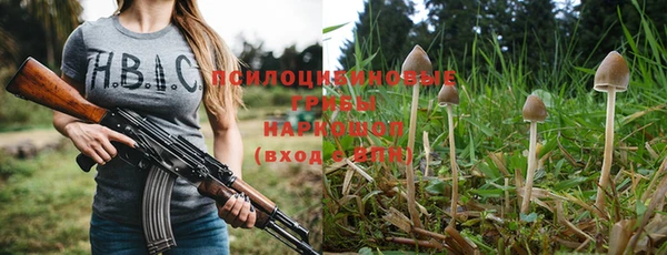 Альфа ПВП Беломорск