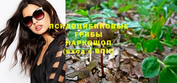 Альфа ПВП Беломорск