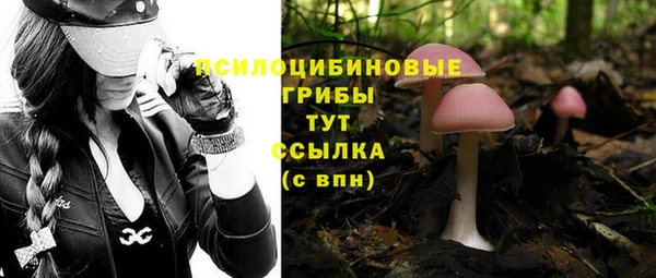 бошки Белоозёрский