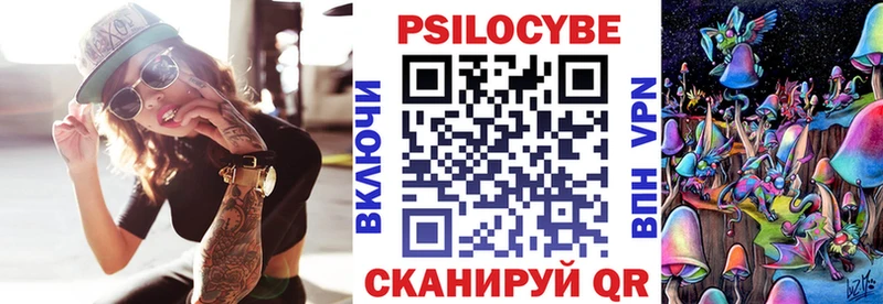 что такое Ефремов Галлюциногенные грибы мицелий