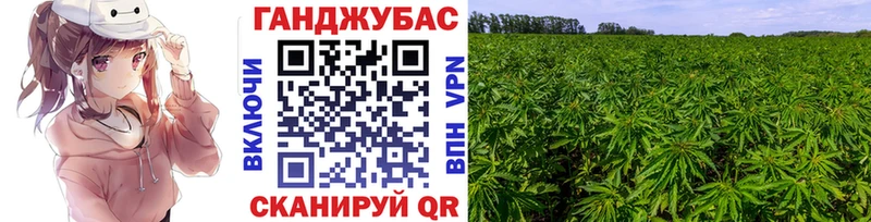 мориарти Telegram  блэк спрут как войти  Ефремов  Бошки Шишки план 